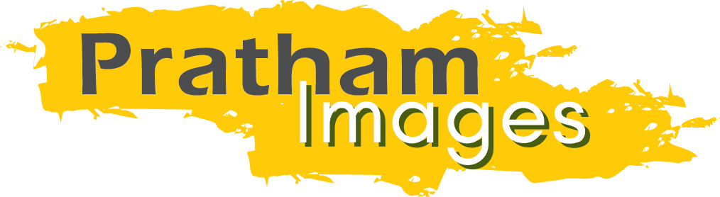 logo img